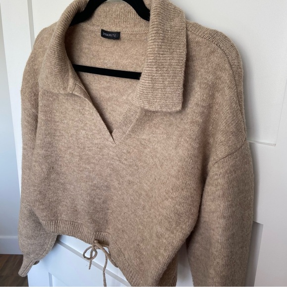 Dynamite Beige Cropped Wool Sweater - Picture 6 of 13